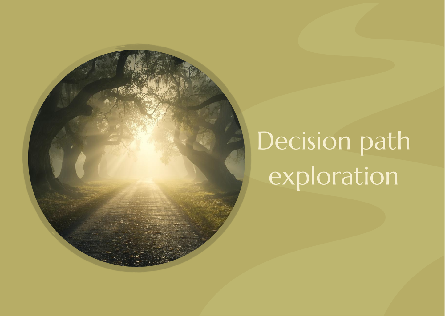 Decision Path Exploration